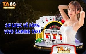 Sơ lược về sòng Vivo Gaming TA88